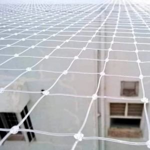 Product Image of Pigeon Netting Service In Rajkot